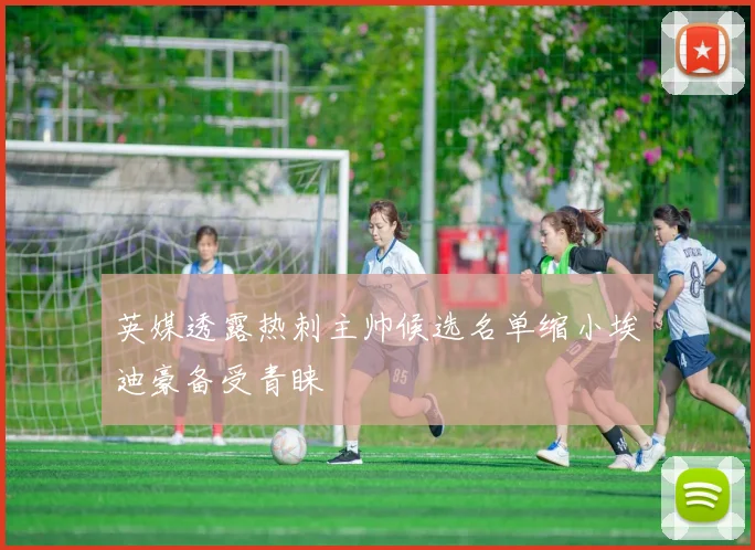 英媒透露热刺主帅候选名单缩小埃迪豪备受青睐