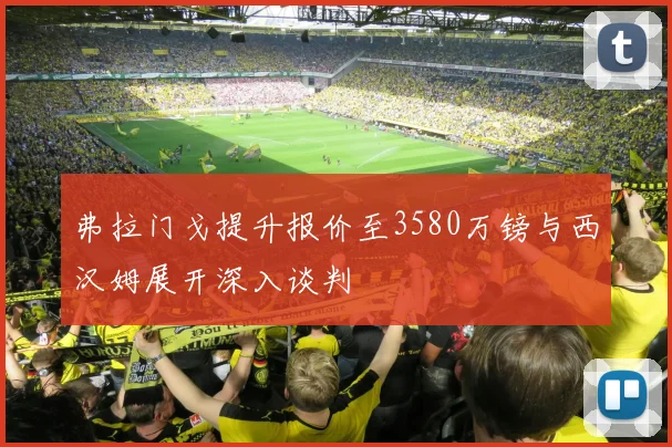 弗拉门戈提升报价至3580万镑与西汉姆展开深入谈判