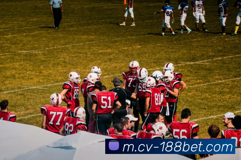 188bet平台生态图